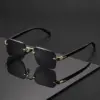 A931 Premium Frameless Black Unisex Sunglasses